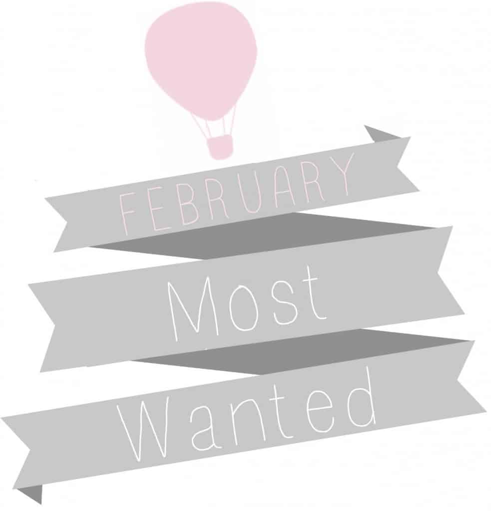New Releases fiction February