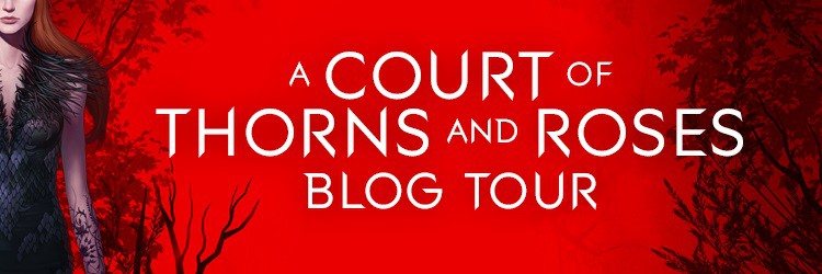 ACOTAR blog tour banner