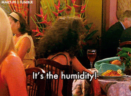 monica_humidity