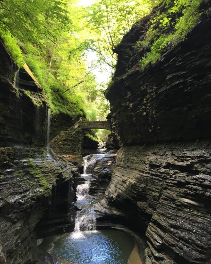 Watkins Glen