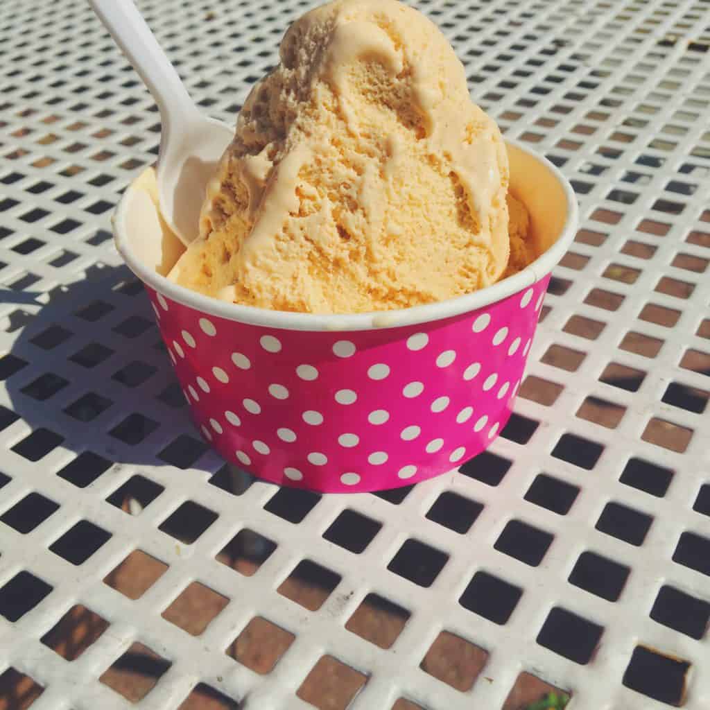 pumpkin-ice-cream