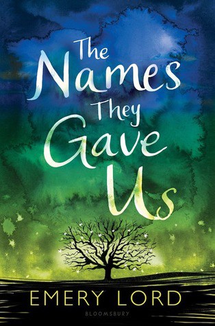 The Names They Gave Us by Emery Lord book cover