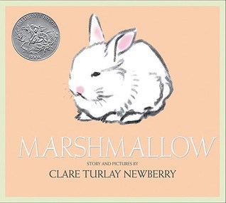 Books For Easter Baskets -- check out this cute tale about a bunny and a cat for their Easter basket!