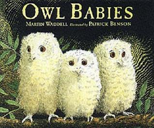 Owl Babies is such a cute picture book about 3 baby owl siblings whose mother has left the nest and they are wondering where she is!