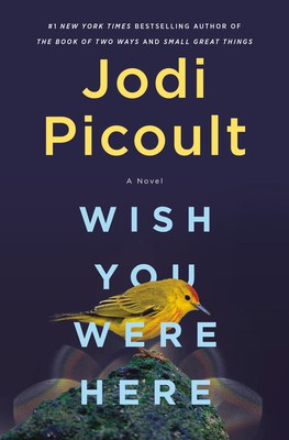 Book cover for Wish You Were Here. Cover is navy blue/kinda black with a yellowish bird perched on a rock.