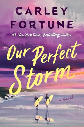 Book cover for our Perfect Storm